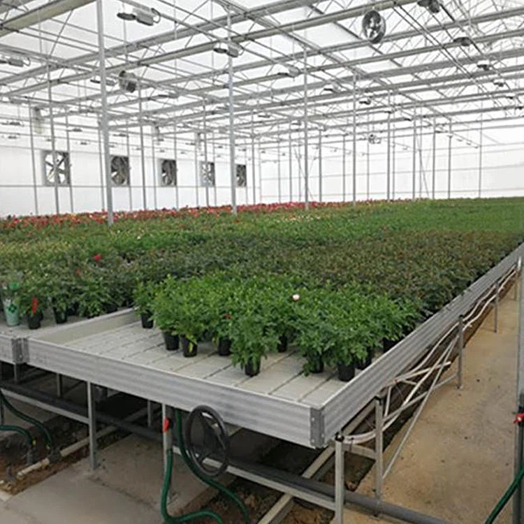 Hydroponic-Greenhous-Rolling-bench-for-hemp