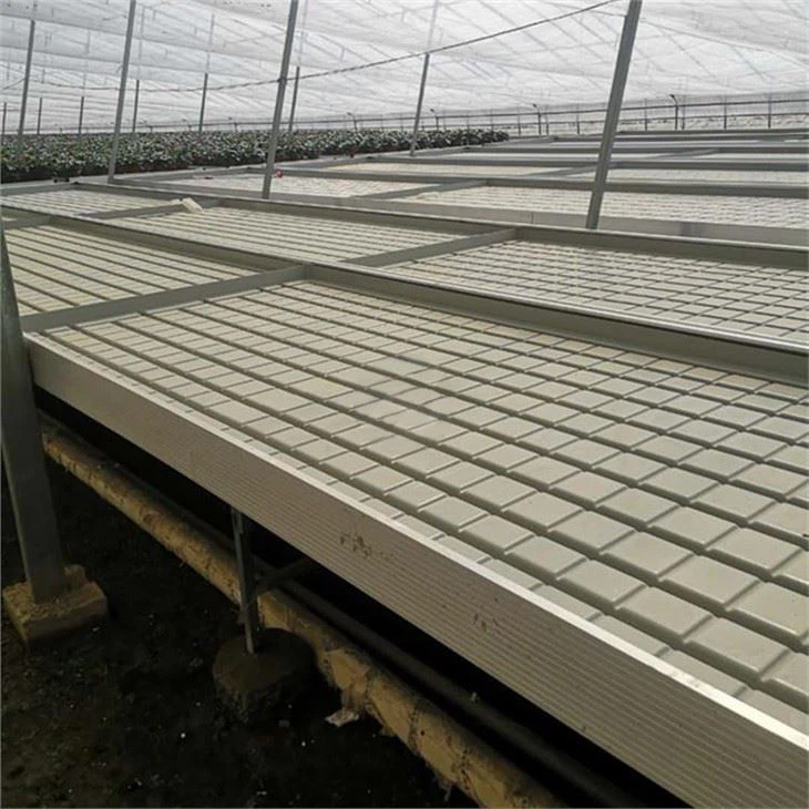 greenhouse-rolling-benches