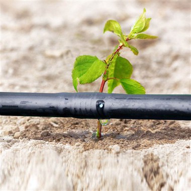 HDPE тръбопроводи за капково напояване Комплекти за напоителна система Papaya