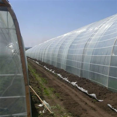 Устойчиво на ултравиолетови лъчи 200 микрона пластмасово фолио за оранжерии - трайно селскостопанско покритие